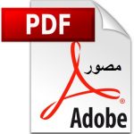 Read more about the article القضاء الإداري الكامل pdf